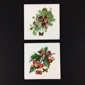 Decorative Ceramic Tiles Set Of 2 Berries Butterflies Design Imola Coop Italy